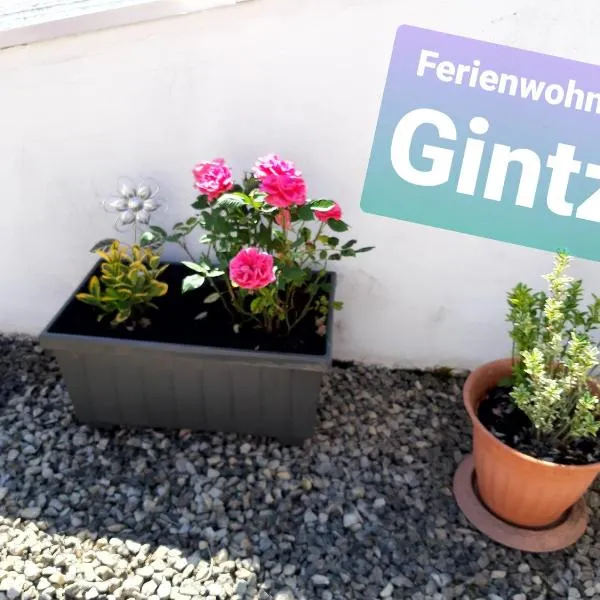 Ferienwohnung Haus Gintz, hotel v destinaci Blieskastel