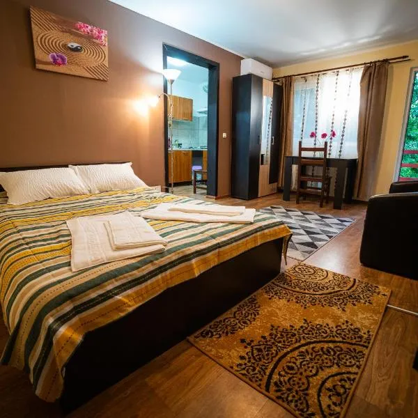 Buget B&B, hotel en Sîrbi