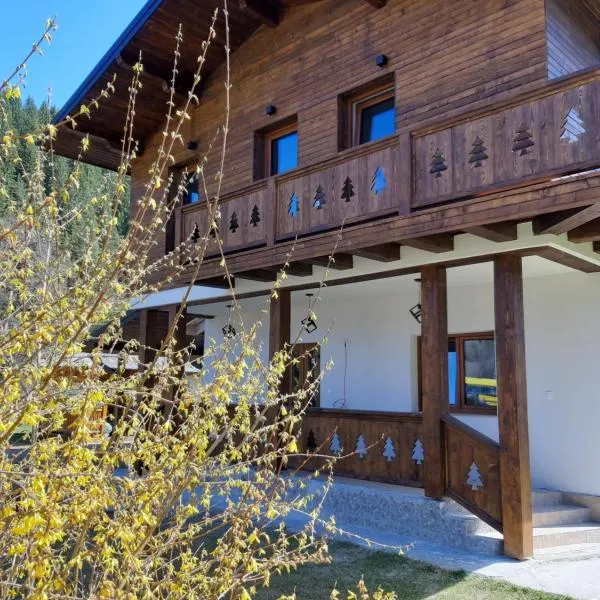 Chalet Mugure de Brad, hotel v destinaci Fundu Moldovei