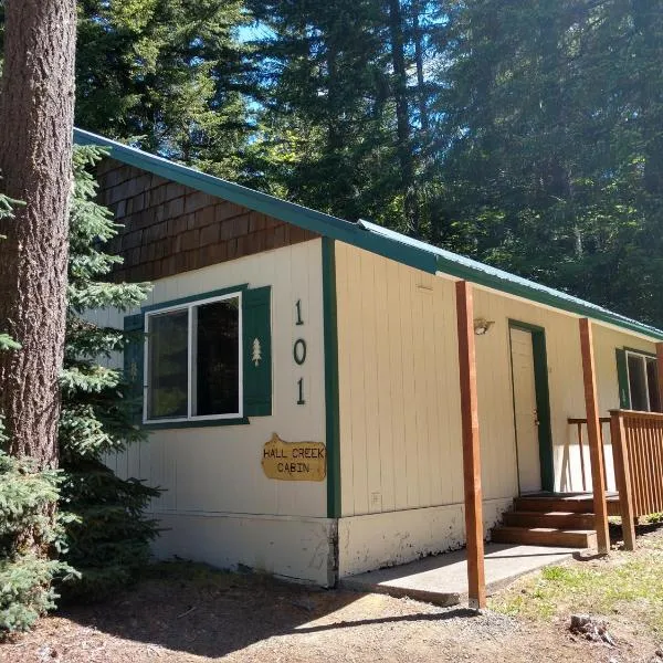 Hall Creek Cabin, hótel í Packwood
