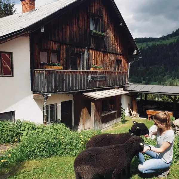 Zauneralm, hotel v destinaci Aich