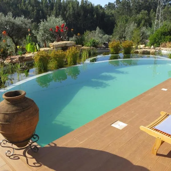 Casa Azul self-catering apartment with gorgeous biological swimming pool, hotel in Avelar