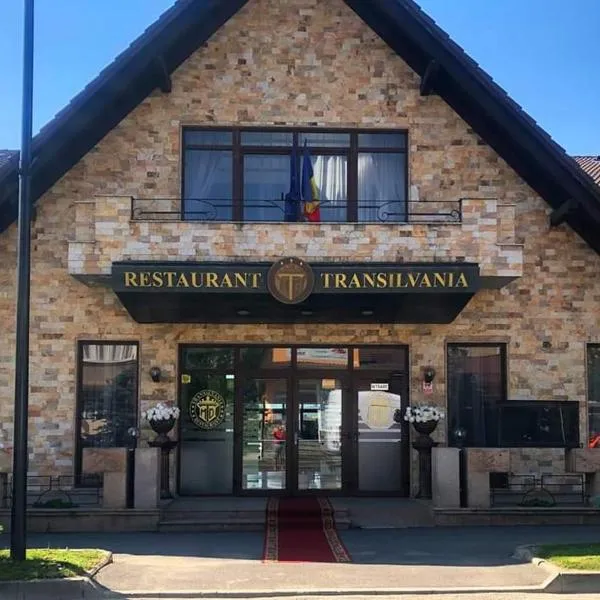 VILA Restaurant Transilvania, Hotel in Zărneşti