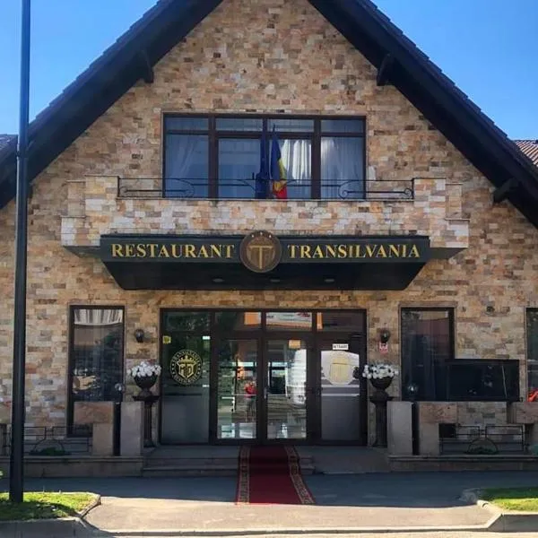 VILA Restaurant Transilvania, hotel di Zărneşti