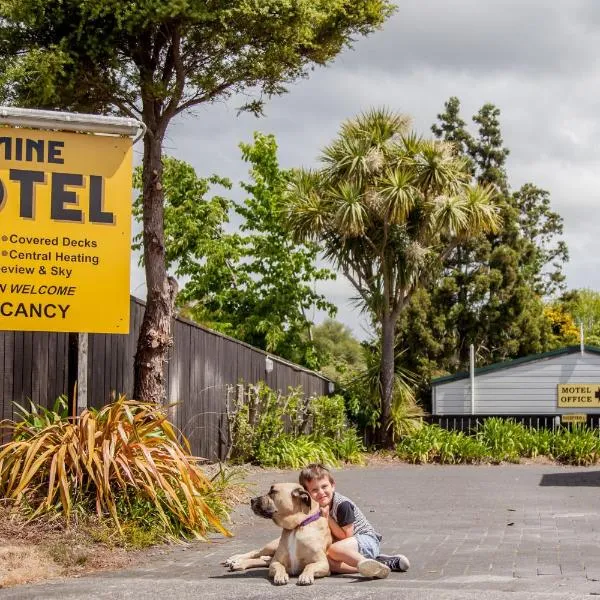 Goldmine Motel โรงแรมในไวฮี