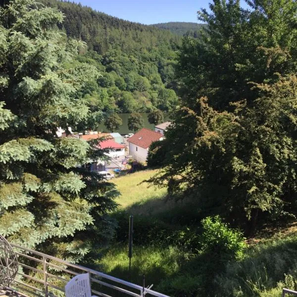 Luftkurort, Perle des Neckartals, hotel in Hirschhorn