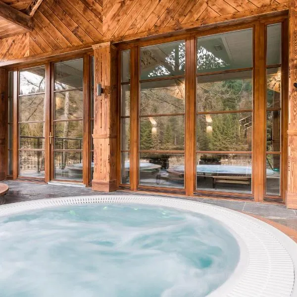 Aries Hotel & SPA Wisła, hotel ve Visle