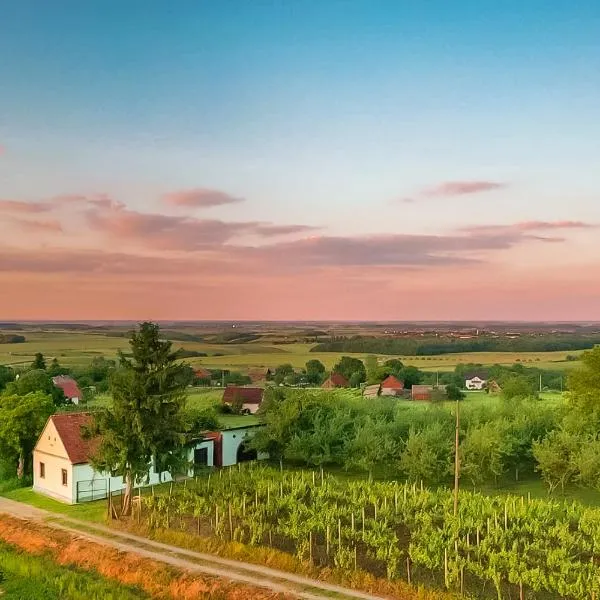 Village Wine House, hotel in Mandićevac