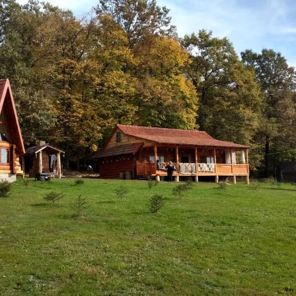 Molfar House, hotel v destinaci Kosiv