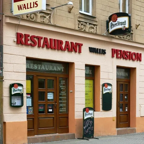 Pension Wallis, hotel v Plzni