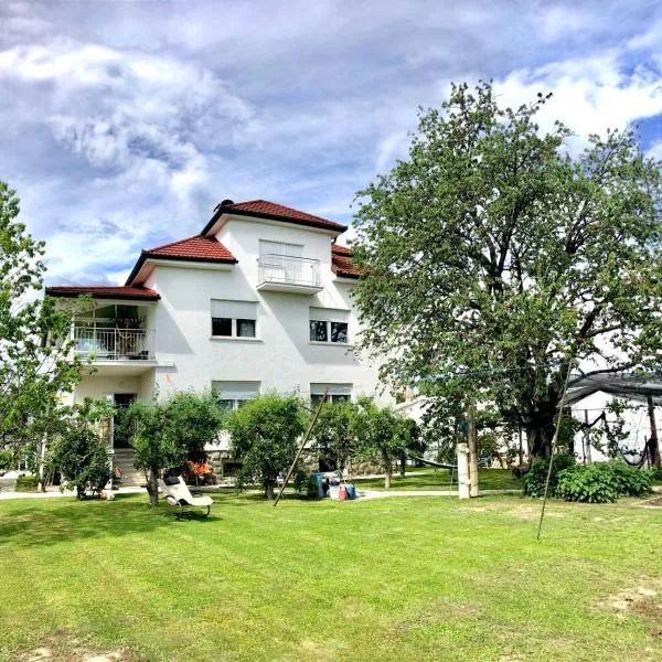 Apartments Andrej - Optuj, hotel v destinaci Ptuj