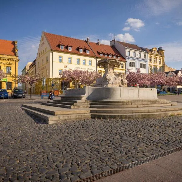 Hotel Česká Koruna – hotel w mieście Děčín