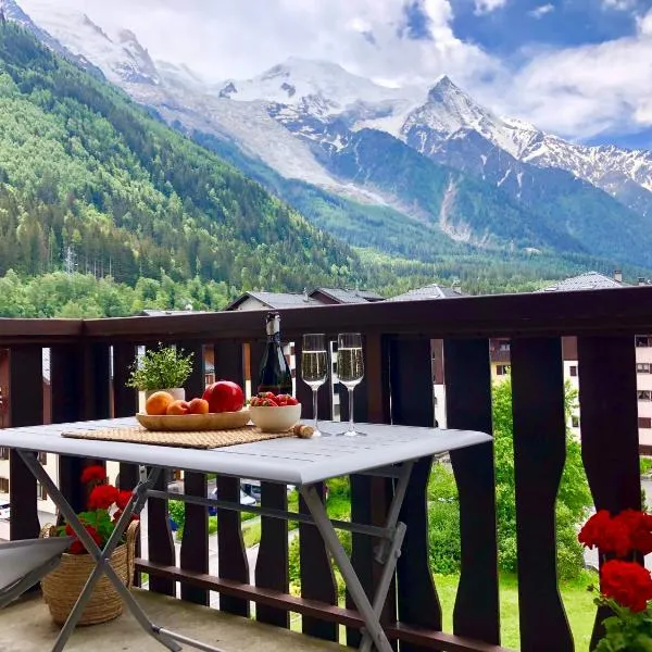 Mont Blanc 43, vue Mont Blanc , balcon, parking, hotel in Chamonix-Mont-Blanc