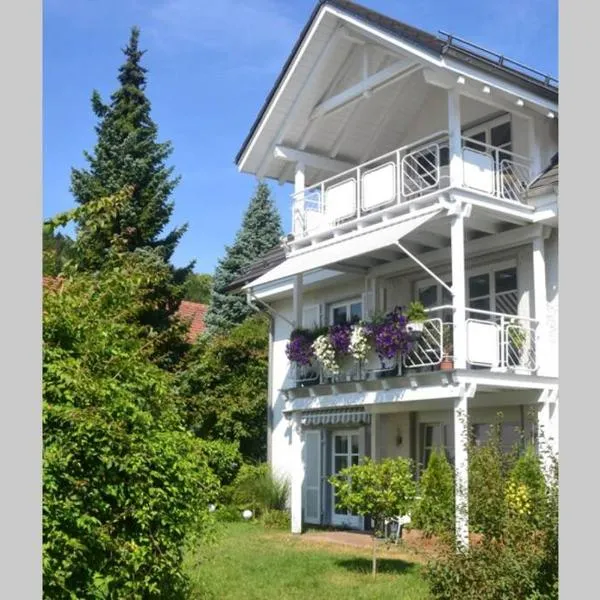Ferienwohnung Henrich, hotel em Waldshut-Tiengen