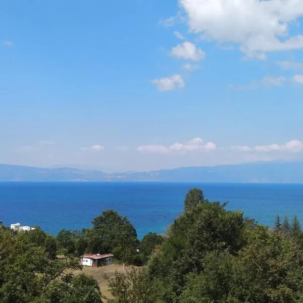 The Brothers Villa Hotel, hótel í Ohrid