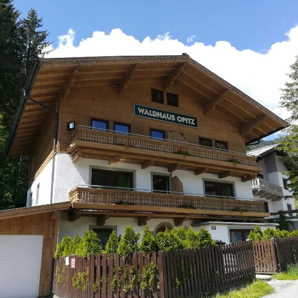 Apartment Waldhaus Opitz、ツェル・アム・ゼーのホテル