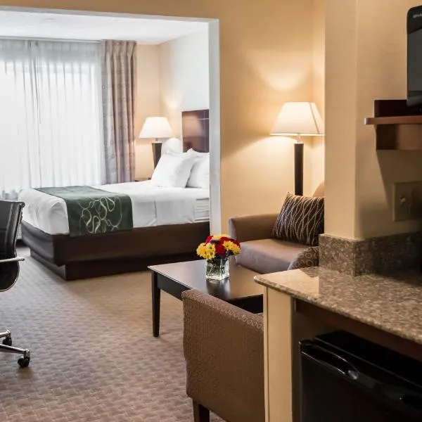 Comfort Suites University Area Notre Dame-South Bend – hotel w mieście Niles