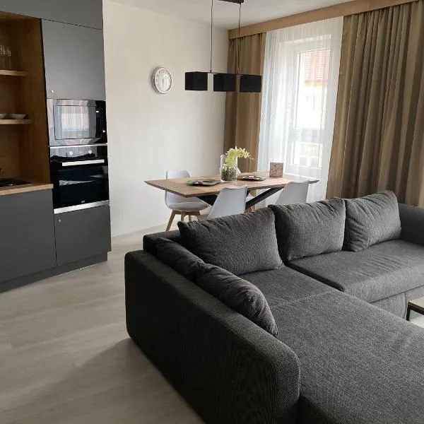 Apartmán Champion, hotel v Plzni