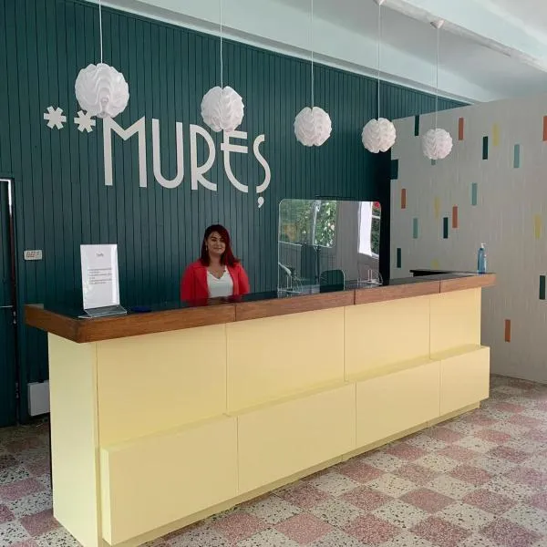 Hotel Mures, отель в Сатурне