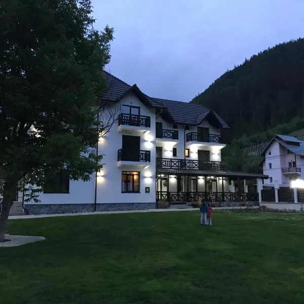 Pensiunea Edelweiss, hotel a Voineasa