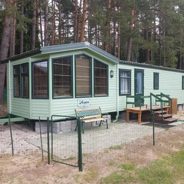 Romantic HOLIDAY HOME in the pine forest, hotel en Kursīši
