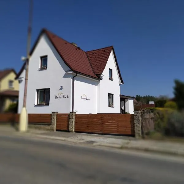 Penzion Burda, hotel v destinaci Sepekov