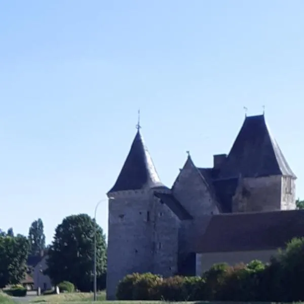 Chateau de Chémery、Soings-en-Sologneのホテル