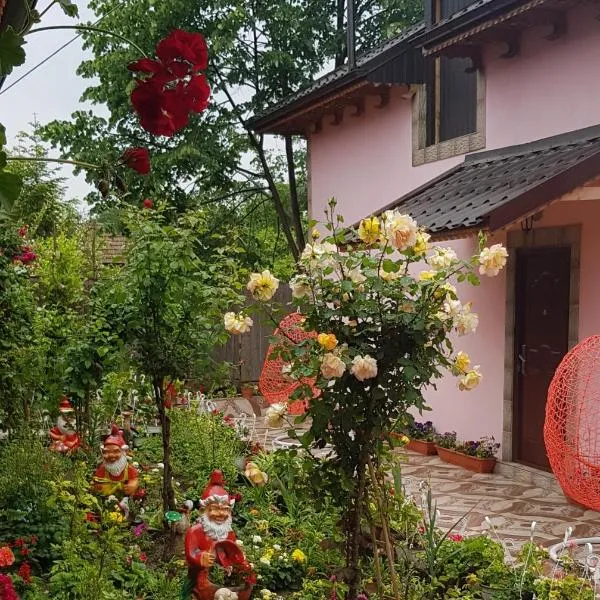 Pensiunea Happy Flowers, hotel a Măcin