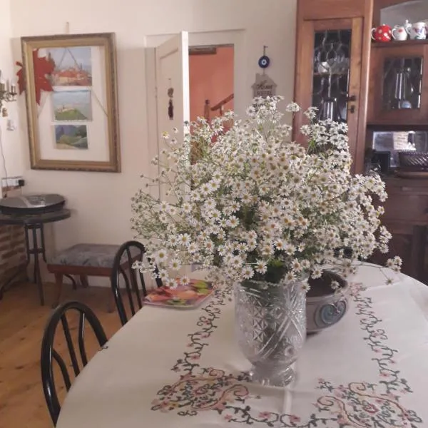 Nana's Guest House, hotel u gradu 'Sighnaghi'