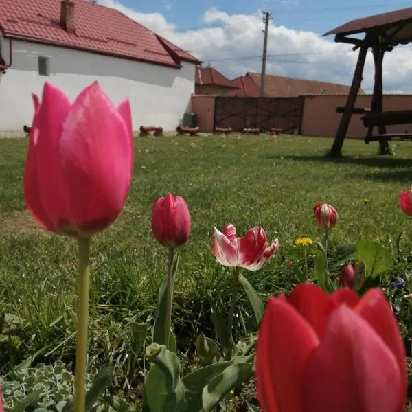 Casa Suzy & Roxy, hotel v destinaci Arpaşu de Jos