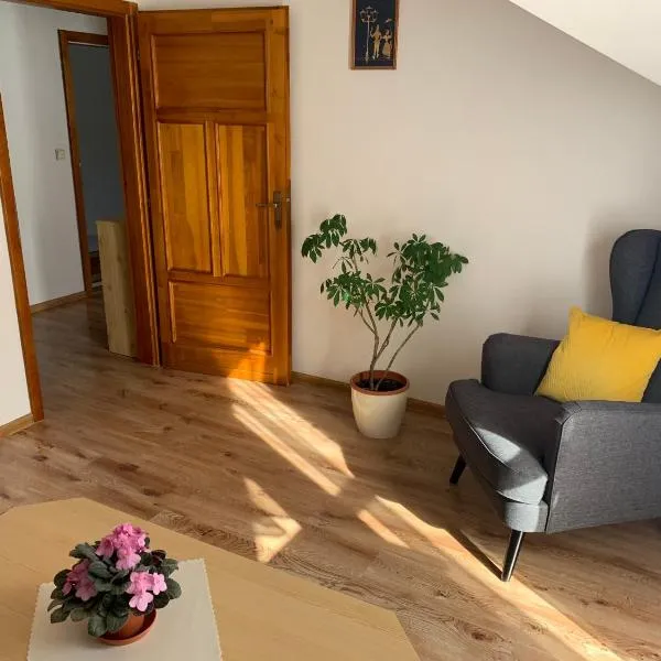 Penzion Centrum, hotel v destinaci Sklené Teplice