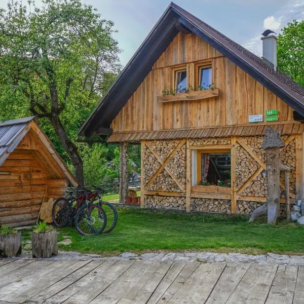Hike & Bike Chalet, готель у місті Бохінь