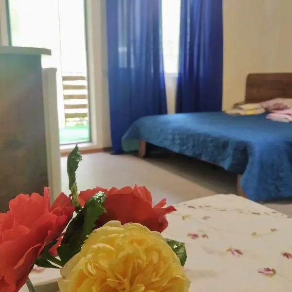Отель "Лагита", hotel in Sergeyevka