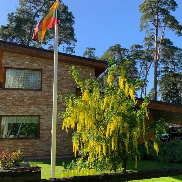Kulautuva Rest Home, hotel in Altoniškiai