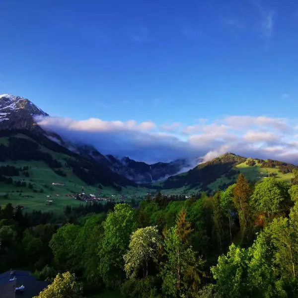 FeWo Fernsicht Crystal, hotel v destinaci Adelboden