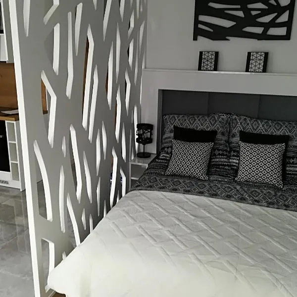 Apartament Wrocław Centrum Dorzecze Legnickiej, hotell Wrocławis