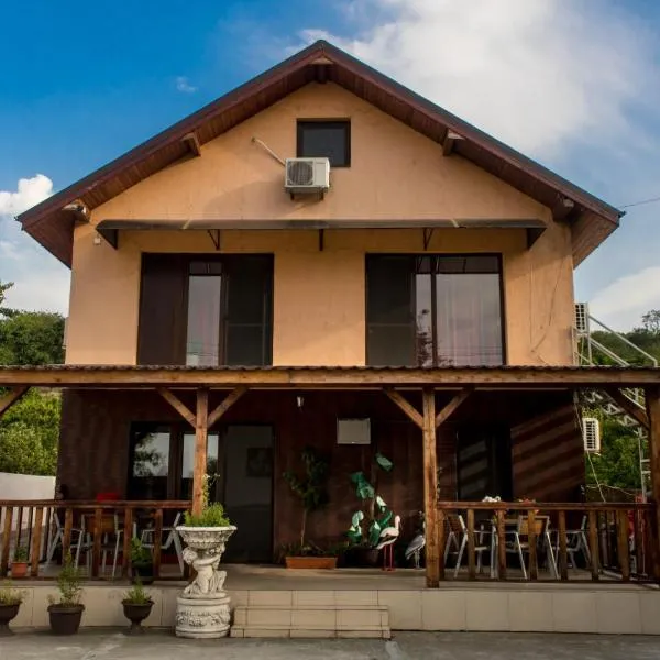 Casa Rico, hotel v destinaci Tulcea