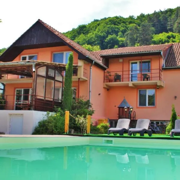 Pensiunea Sighisoara, hotel en Laslea