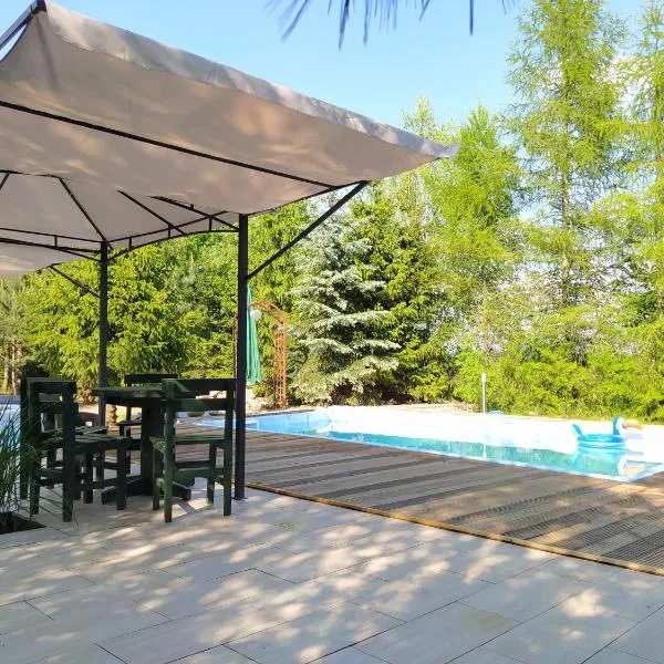 Dom z basenem nad Narwią, hotel in Szablak