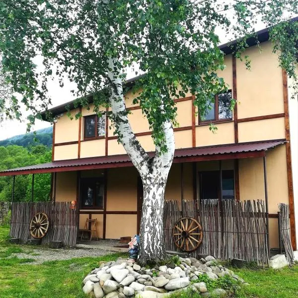 Guest House Pisnya Karpat, hotel em Nizhneye Sinevidnoye