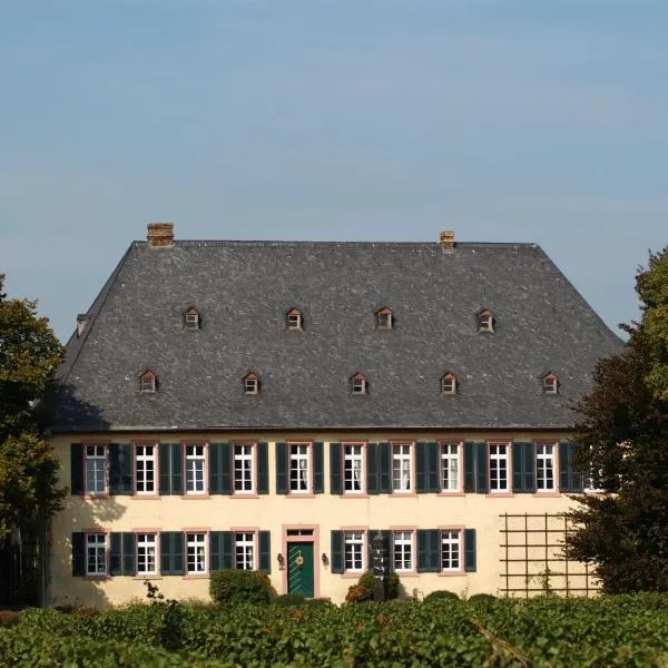 엘트빌레에 위치한 호텔 Gutshotel Baron Knyphausen