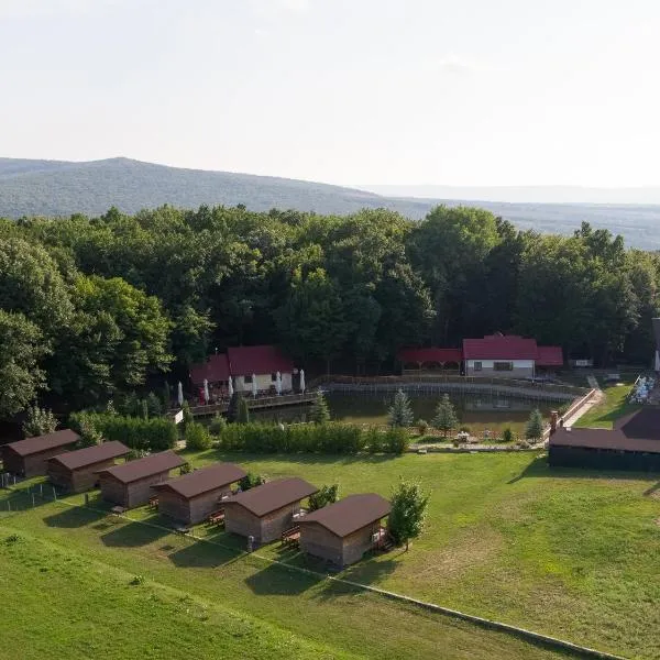 Complex HAMAK, hotel di Pietrăria