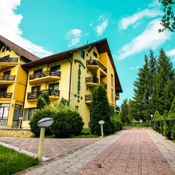 Pensiunea Vanatorul, hotel in Vatra Dornei
