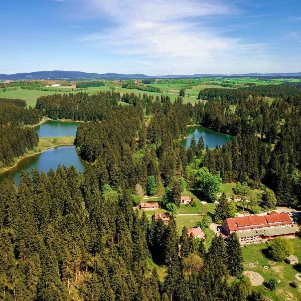 Flambacher Mühle, hotel v destinaci Clausthal-Zellerfeld
