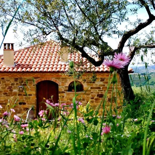 Villa Nigro, hotel in Laureana Cilento