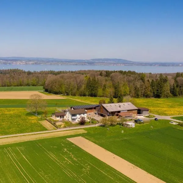 Hof-Tschannen, hotel u gradu Vajnfelden