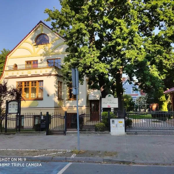 Willa Pod Dębami, hotel ve Svinoústí