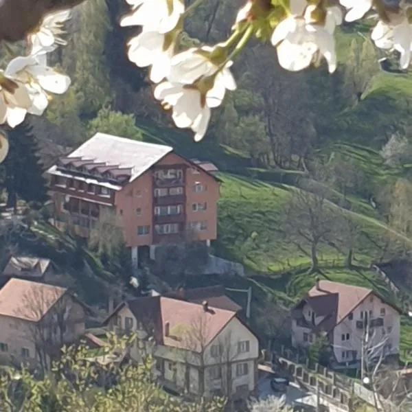 Vila Muntii Bucegi & SPA, hotel di Bran