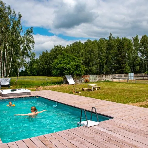 Nowa Wola 58 - 200qm appartment in a small village, with pool, sauna and big garden: Rusiec şehrinde bir otel