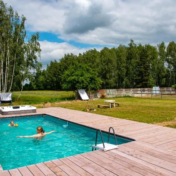 Nowa Wola 58 - 200qm appartment in a small village, with pool, sauna and big garden, hótel í Rusiec